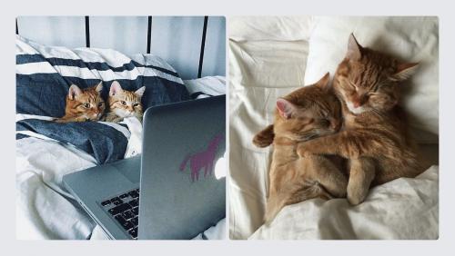 Как защитить свои авторские права, если я скачиваю 3D Дизайн Интерьера. Что такое авторское право