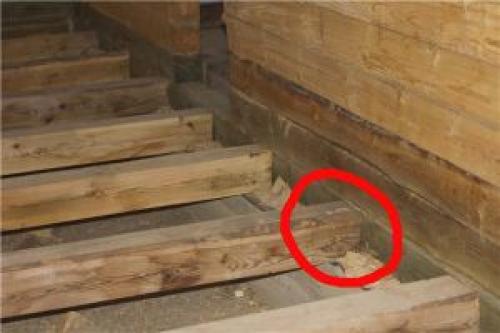 Черновой пол в доме из бруса. Общие советы