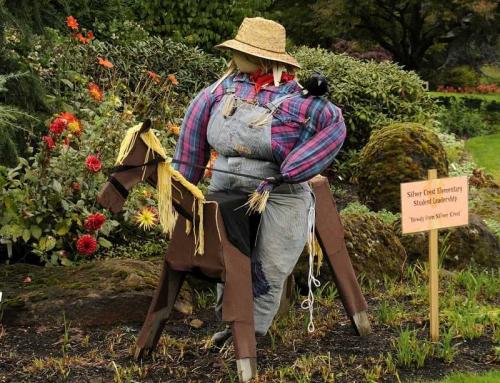 Пугало огородное своими руками. Пугало в сад — 140 фото и видео описание креативных идей и советы, как смастерить пугало своими руками