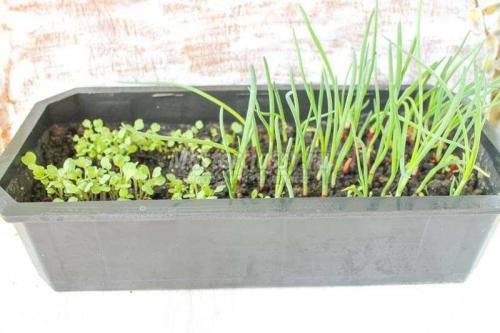 Экологичное решение: как переработать 5-литровые пластиковые бутылки 08