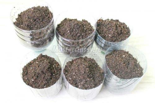 Экологичное решение: как переработать 5-литровые пластиковые бутылки 04