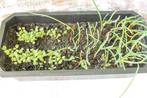 Экологичное решение: как переработать 5-литровые пластиковые бутылки 07