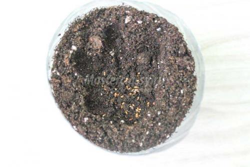 Экологичное решение: как переработать 5-литровые пластиковые бутылки 05