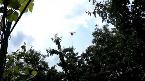 Как сделать пугало от птиц. Процесс изготовления чучела птицы