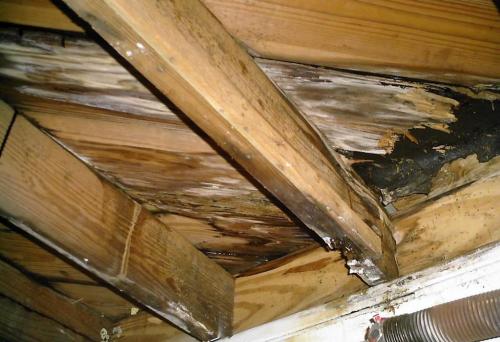 Как установить крышу на дом из пенопласта. Основные принципы утепления кровли пенополистиролом