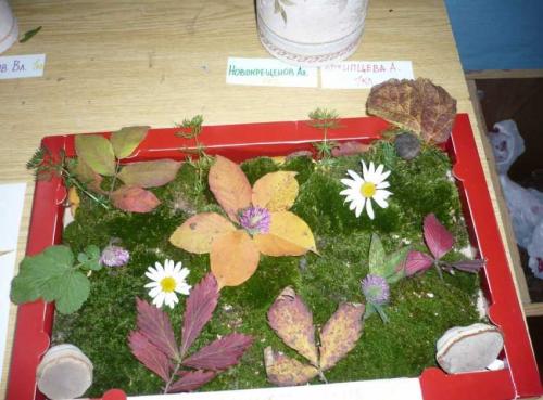 Поделки из подручных материалов в школу. Поделки в школу – изготовление простых и стильных изделий для детей школьного возраста (120 фото)