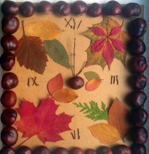 Как можно сделать поделку для детского сада поэтапно. Осенние поделки для детского сада и школы, созданные своими руками (все новинки)