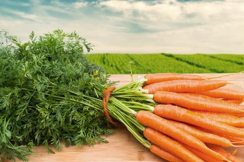 Какие типы продуктов лучше не хранить в городской квартире из-за ограниченного пространства. 17 продуктов, которым не место в холодильнике