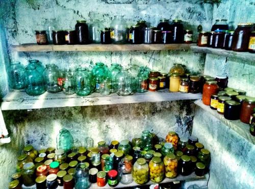 Как можно определить, что в подвале появилась сырость. Плесень и грибок в погребе и подвале: причины появления