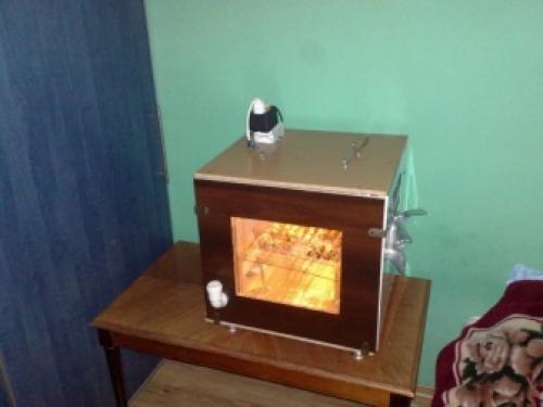 Поделки из яичных упаковок пластиковых. Поделки из яичных лотков: оригинальные идеи, фото и видео мастер классы. Что сделать из яичных лотков? 35