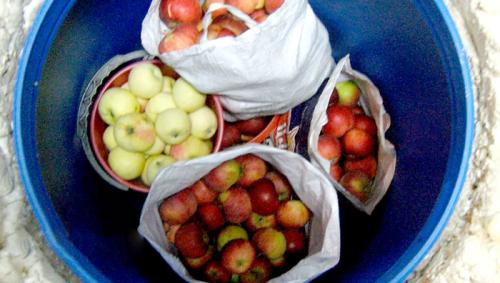 Как быстро и дешево посторить погреб на даче. Виды погребов 08