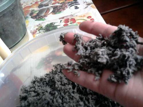 Папье-маше из упаковки для яиц. Папье маше из яичных лотков, коробок, кассет: лучшие идеи, что можно сделать из упаковки для яиц