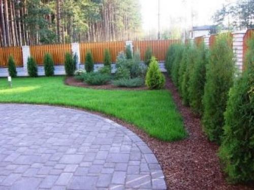 Дачные хитрости или полезные советы. Полезные хитрости, которые нужно знать каждому дачнику 12