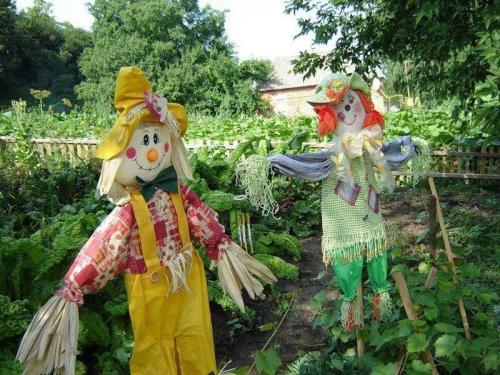 Как правильно установить пугало на огороде или даче. Как создать правильное и эстетическое пугало