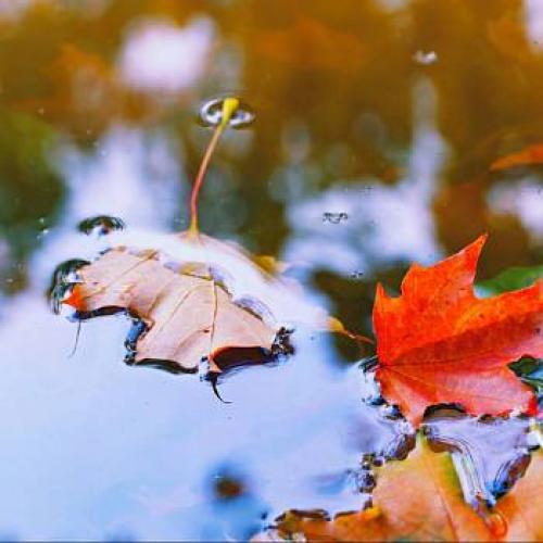 Выбор идеальных обоев: подсказки и советы 16