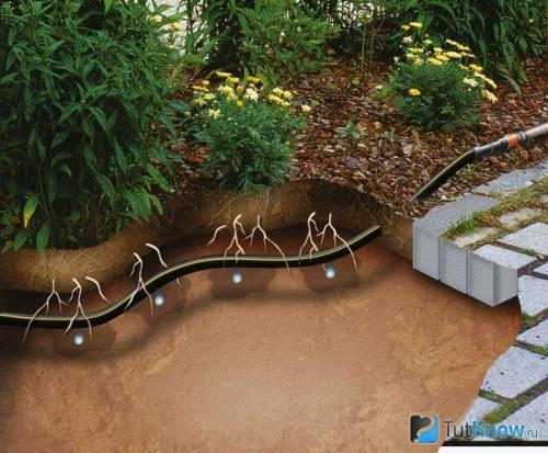 Увеличьте плодородие своего подворийского участка: советы по созданию приямка 09 Увеличьте плодородие своего подворийского участка: советы по созданию приямка 09