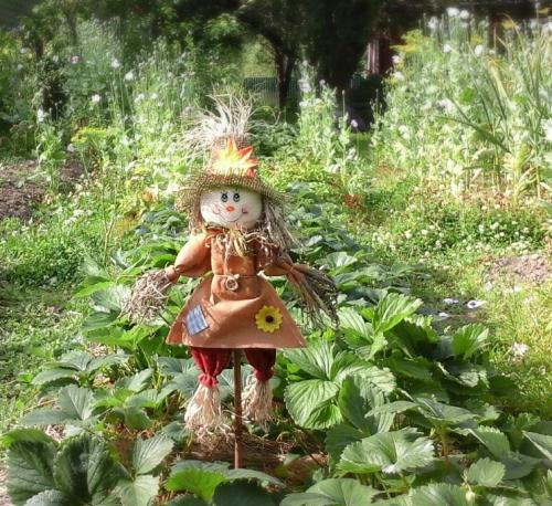 Какие люди Могут быть заинтересованы в фото чучело на огороде. Пугало в сад — необходимая защита от птиц или необычный декор на загородном участке (фото + видео)