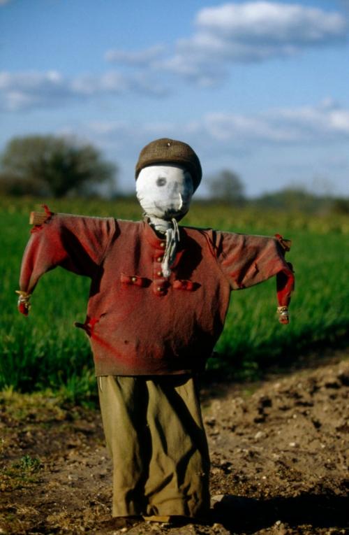 Как было сделано фото чучело на огороде. Украшаем земельный участок самостоятельно