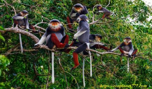 Как охранники сада и поля могут повлиять на сохранение биоразнообразия. Сохранение биоразнообразия