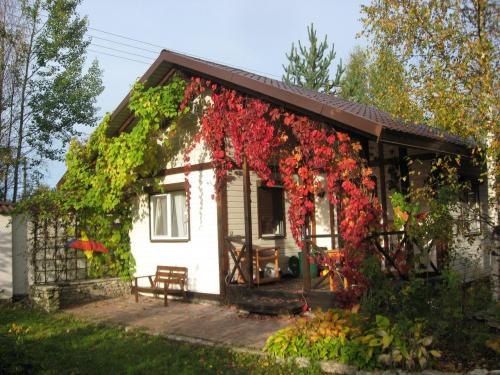 Какие растения можно выбрать для украшения крыльца загородного дома. Лучшие вьющиеся растения для крыльца