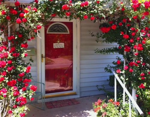 Какие растения можно выбрать для украшения крыльца загородного дома. Лучшие вьющиеся растения для крыльца