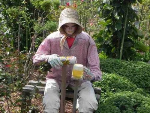 Как сделать голову для пугала огородного, чтобы она выдержала дождь и ветер. Как получить от чучела максимальный эффект