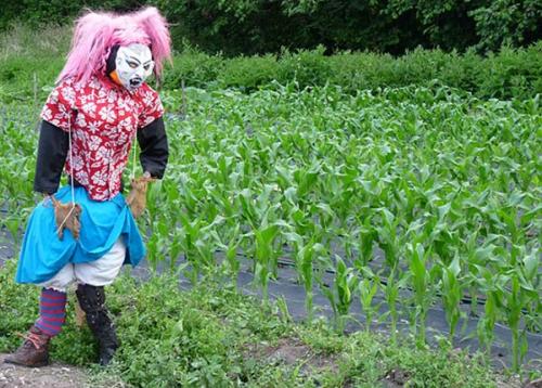 Какие дополнительные элементы можно добавить к голове для пугала, чтобы она выглядела более страшной. Пугало огородное крик. Страшная красота, или пугало огородное своими руками. Пошаговая инструкция создания садового чучела