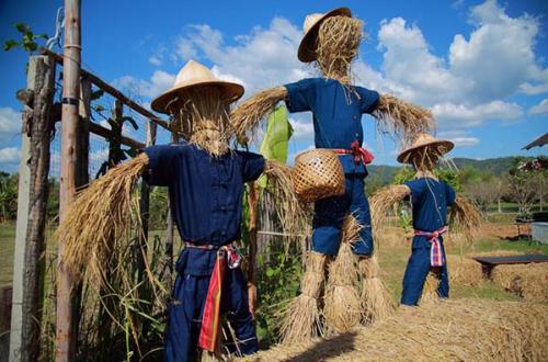 Какие дополнительные элементы можно добавить к голове для пугала, чтобы она выглядела более страшной. Пугало огородное крик. Страшная красота, или пугало огородное своими руками. Пошаговая инструкция создания садового чучела