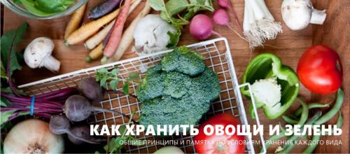 Как сохранить овощи на зиму в домашних условиях. Как правильно хранить овощи и зелень