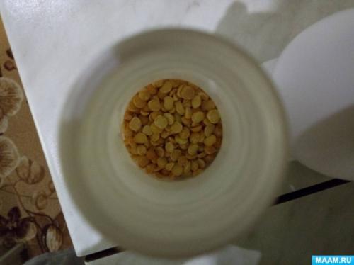 Какие инструменты нужны для изготовления поделок из пластиковых бутылок. Мастер-класс из пластиковых бутылок «Шумовые инструменты «Грибочки» (10 фото)