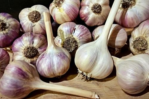 Где и как хранить чеснок зимой в домашних условиях. Главные советы и правила