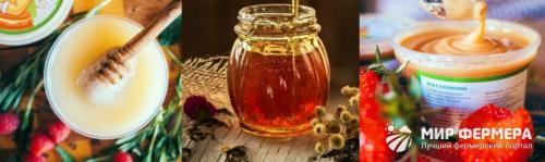 Где и как хранить мед в домашних условиях. Как хранить мед