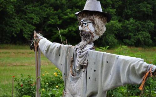 Какие виды чучел можно создать на огороде. Украшаем земельный участок самостоятельно