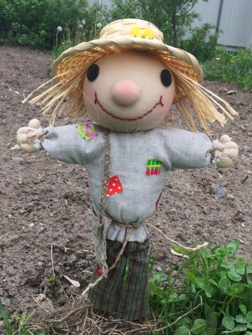 Какие виды чучел можно создать на огороде. Украшаем земельный участок самостоятельно
