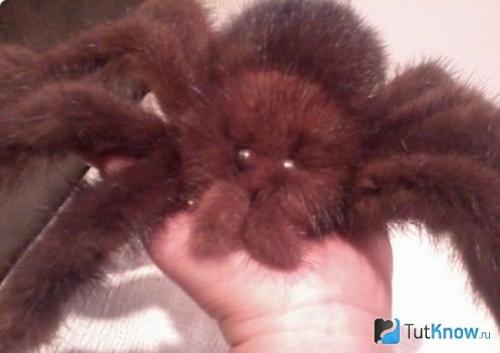 Как сделать прикольные чучела на огороде своими руками 21 Как сделать прикольные чучела на огороде своими руками 21