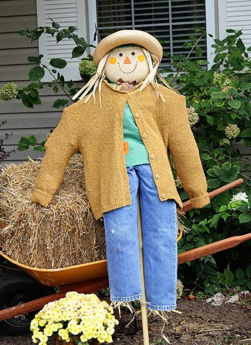 Какие виды чучел можно создать на огороде. Украшаем земельный участок самостоятельно