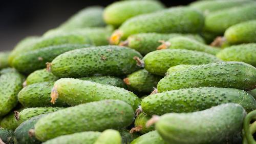 Где вы храните заготовки на зиму. Как правильно хранить заготовки на зиму: идеальные места для банок с маринадами