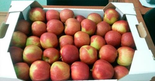 Где хранить зимние яблоки в квартире. Как хранить яблоки: создаем оптимальную температуру для хранения зимой + правильно выбираем тару