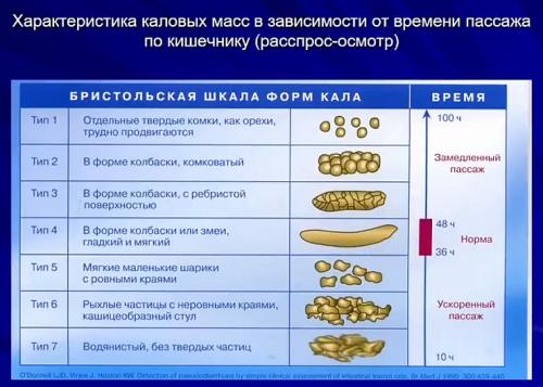 Необычные стулья в интерьере. Стулья в интерьере: 105 фото лучших вариантов дизайна и обзор современных новинок для интерьера 15