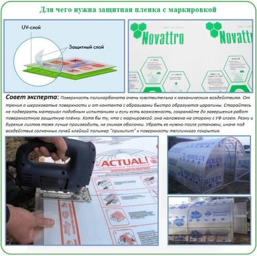 Как теплицу поликарбонатом закрыть. Учет характеристик материала