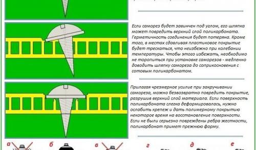 Как одному покрыть теплицу поликарбонатом. Как покрыть теплицу поликарбонатом: принципы установки и крепления