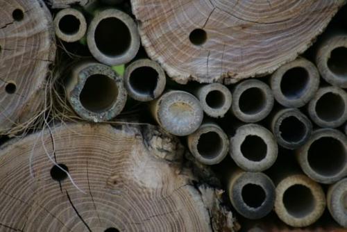 Как создать пугал, который будет привлекать полезных насекомых. Что такое отель для жуков?