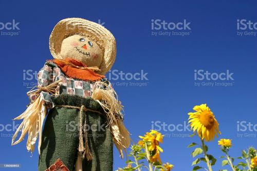 Какие материалы можно использовать для создания пугала. Подготовка материалов и инструментов