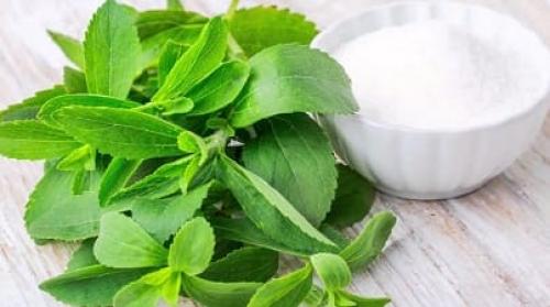 Можно ли использовать другие ингредиенты вместо меда и ванили. Чем можно заменить мёд в рецепте?