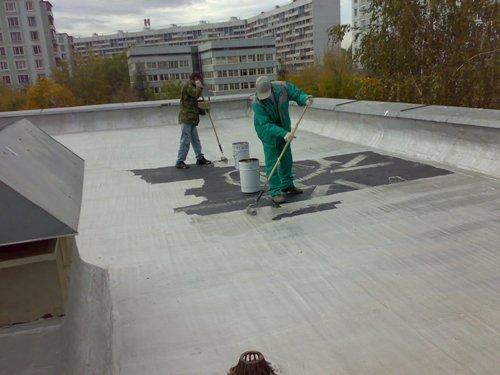 Плюсы и минусы эксплуатируемой кровли. Преимущества и недостатки такой конструкции
