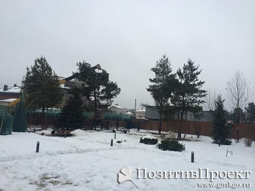 В какое время года лучше сажать плодовые деревья. Расположение 08