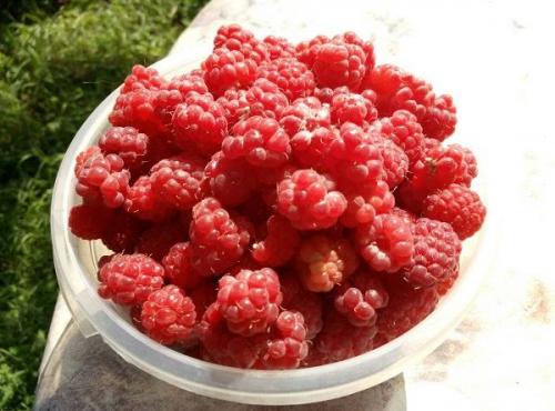 Как правильно хранить домашние заготовки