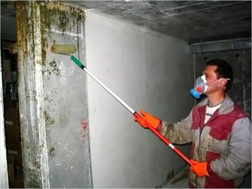 Как правильно установить примок для отвода грунтовых вод в подвале. Устранение влаги в подполье