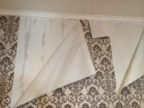 Можно ли шпаклевать не высохшую штукатурку. Чем грозит отделка стен с непросохшей штукатуркой