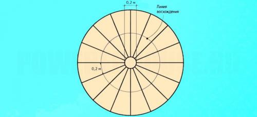 3D Расчет винтовой лестницы. Расчет винтовой лестницы — методика